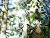 img_3103b